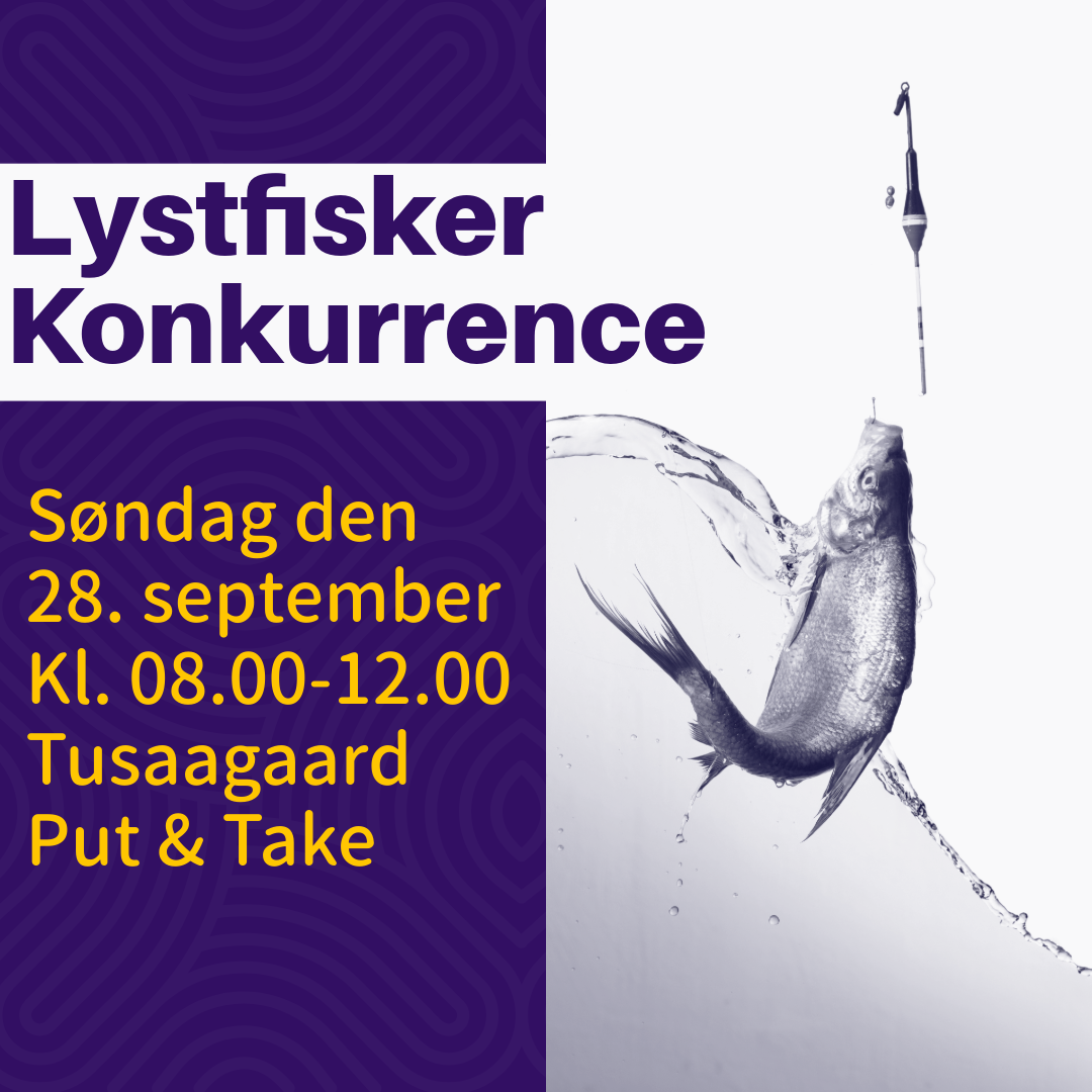 Lystfisker 